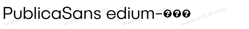 PublicaSans edium字体转换